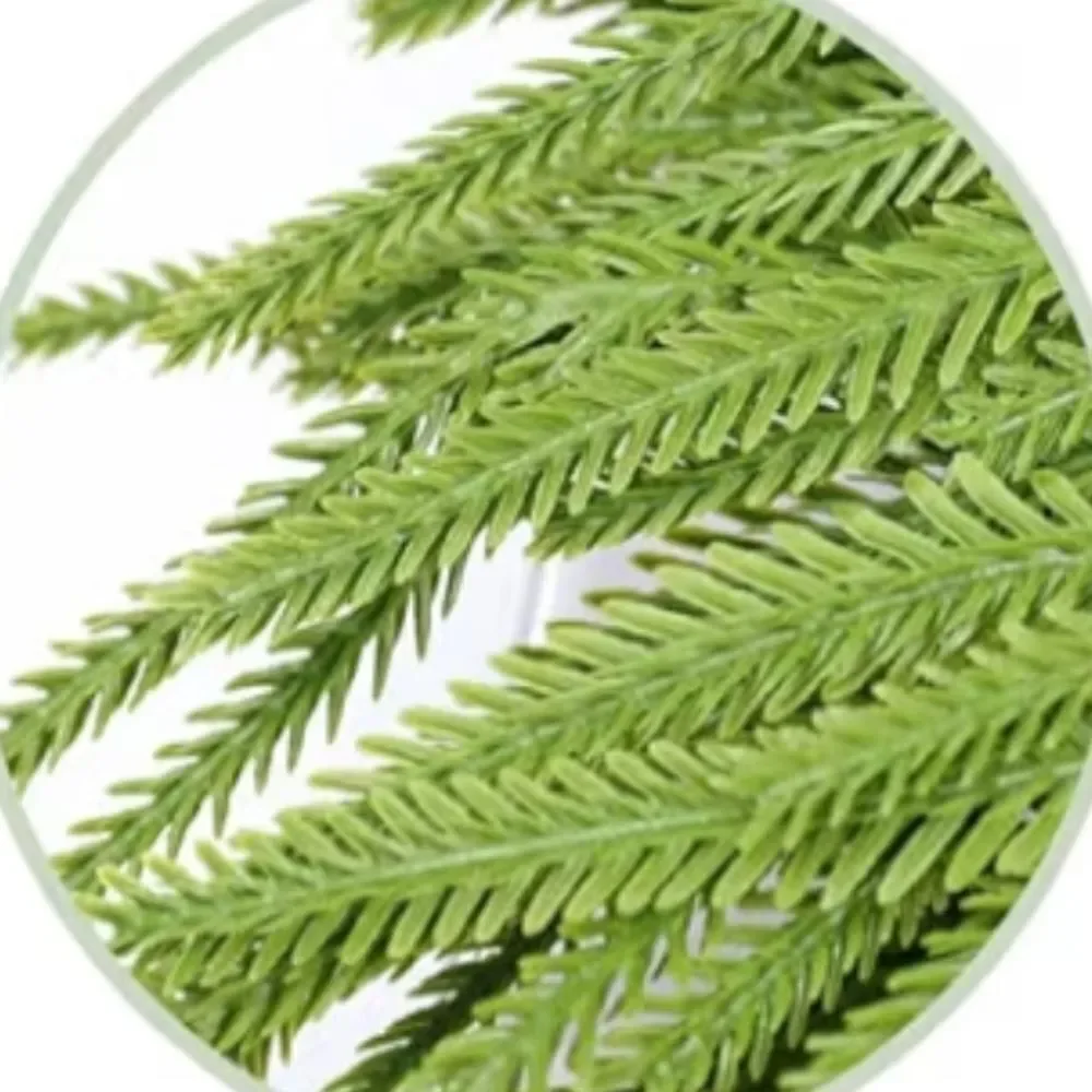 Elegant Green Holiday Wreath with Candle